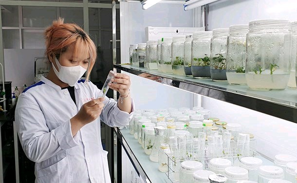 Image of the skyline of the City of Pittsburgh at night