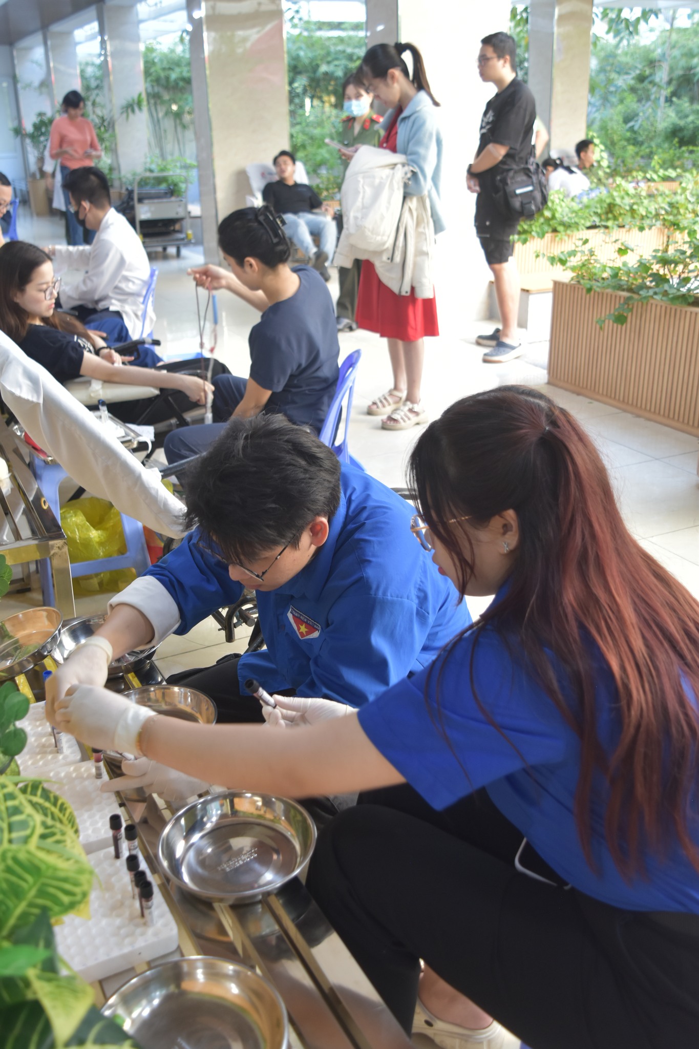 Sinh viên Khoa Y hỗ trợ hiến máu nhân đạo