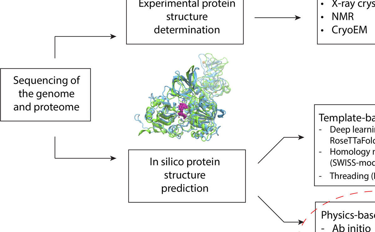 Ứng dụng Máy tính Lượng tử trong Dự đoán Cấu trúc Protein: Bước Tiến Mới trong Nghiên cứu Y Sinh