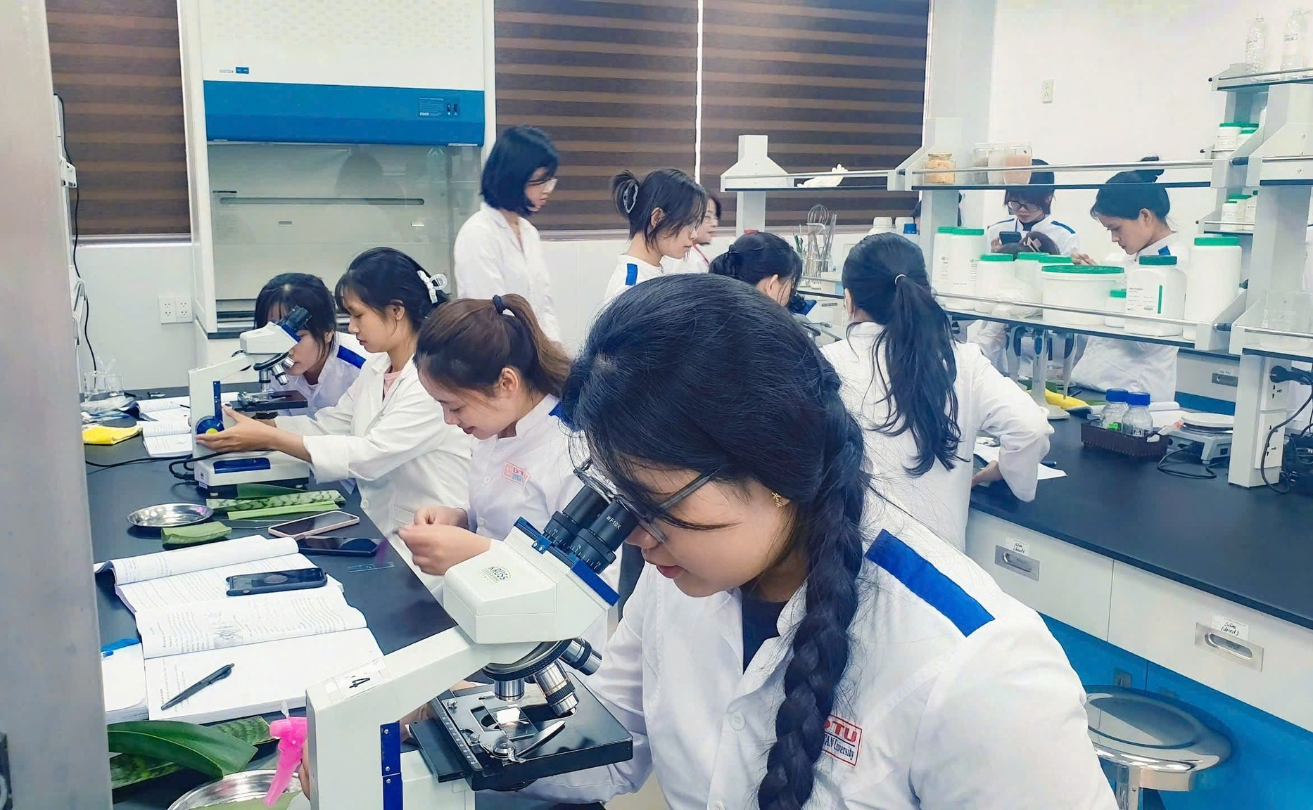 Khám phá thế giới Công nghệ Sinh học tại Đại học Duy Tân — Nơi ươm mầm những nhà khoa học tương lai