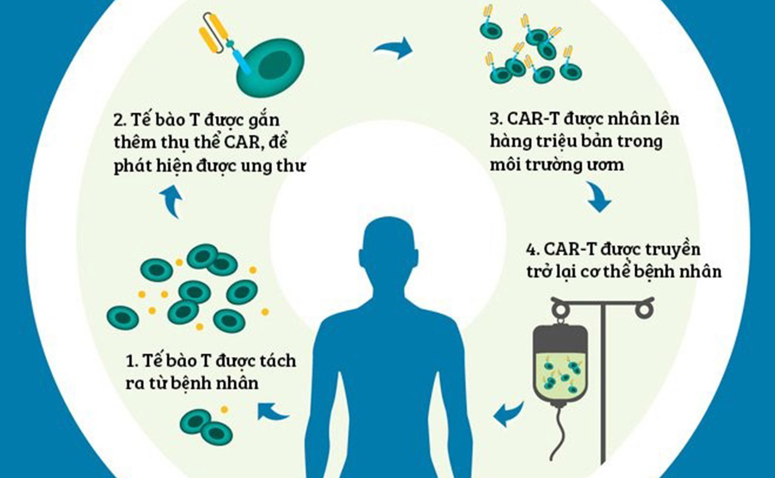 Bước ngoặt y học Việt Nam: Chữa khỏi ung thư máu bằng tế bào CAR-T nội địa