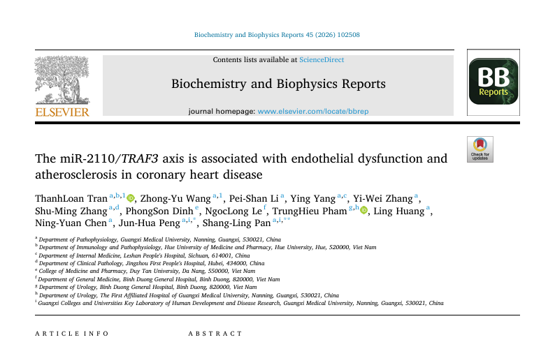 Trục miR-2110/TRAF3 liên quan đến rối loạn chức năng nội mô và xơ vữa động mạch trong bệnh mạch vành