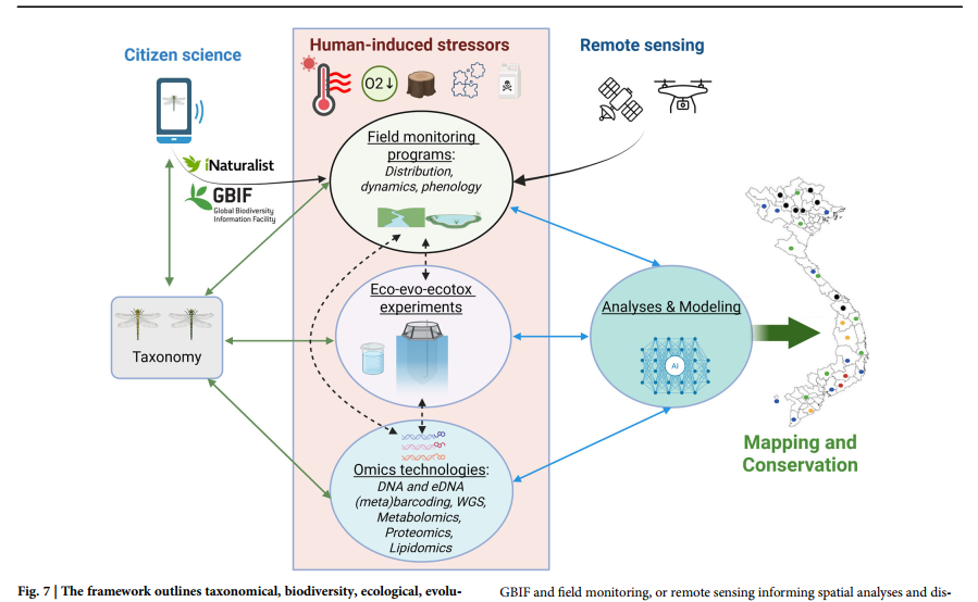 Đại học Duy Tân góp phần nghiên cứu bảo tồn đa dạng sinh học chuồn chuồn tại Việt Nam