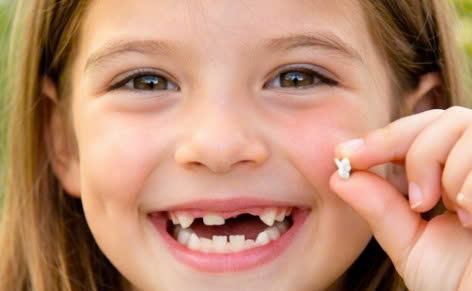 Thay răng sữa: Cột mốc quan trọng trong hành trình phát triển của trẻ