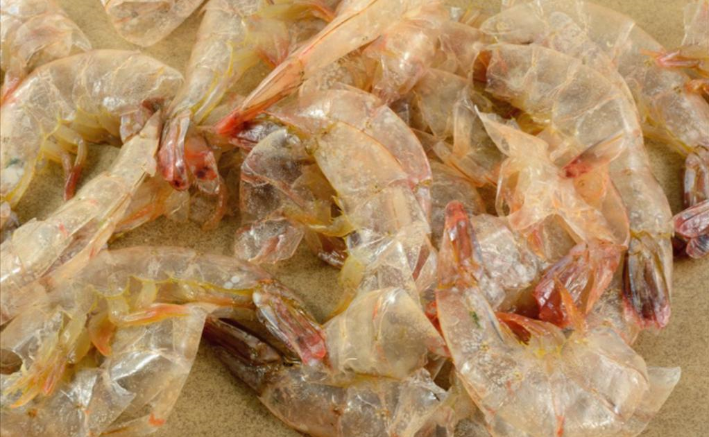 Ứng dụng công nghệ nano trong tái chế phụ phẩm thủy sản: Hướng đi bền vững cho tương lai