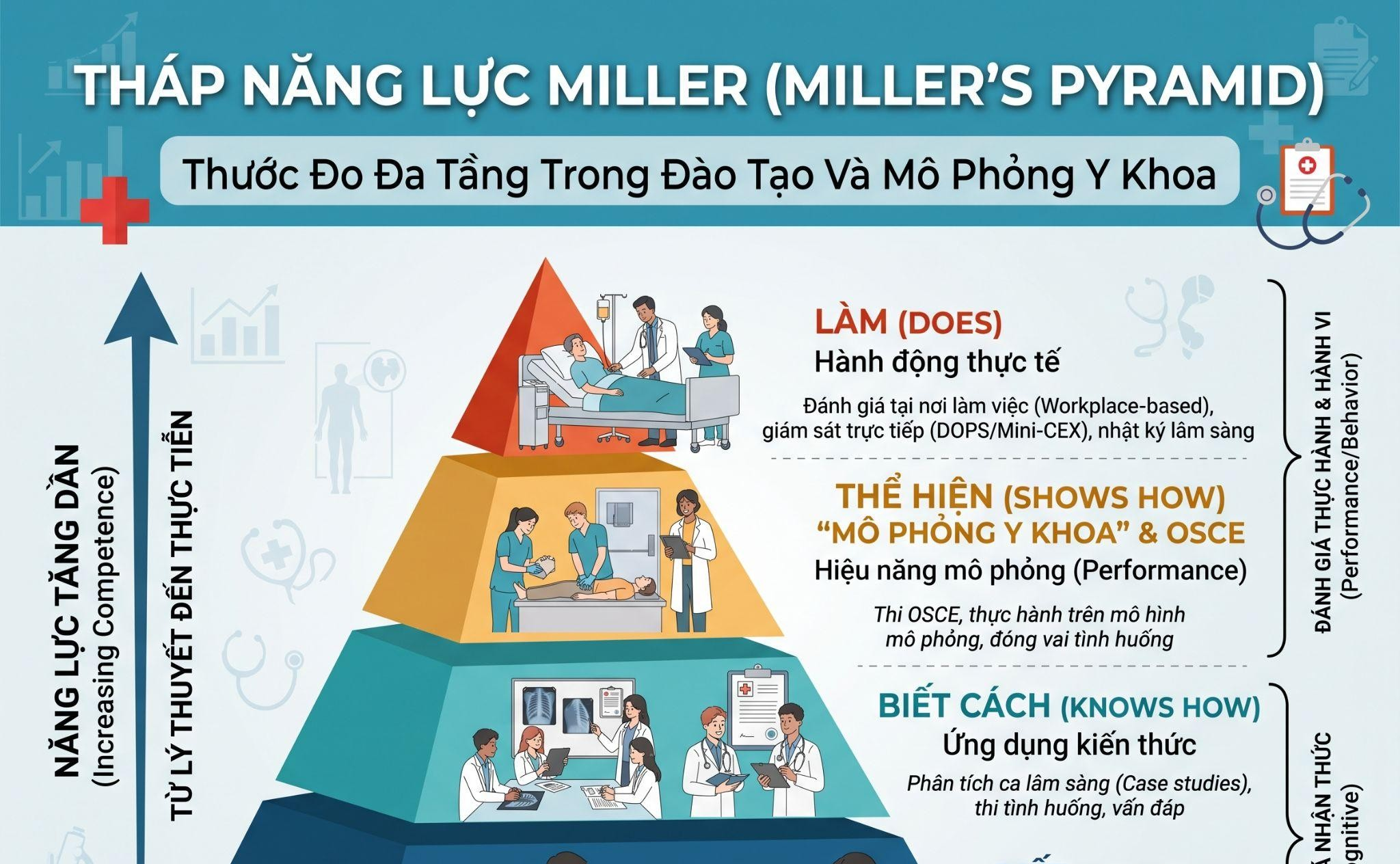 Tháp Năng Lực Miller (Miller’s Pyramid) - Thước Đo Đa Tầng Trong Đào Tạo Và Mô Phỏng Y Khoa