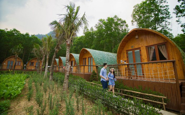 Tất tần tật các câu hỏi về farmstay: Farmstay là gì, khác gì Homestay? Vì sao nên kinh doanh farmstay tại Việt Nam?