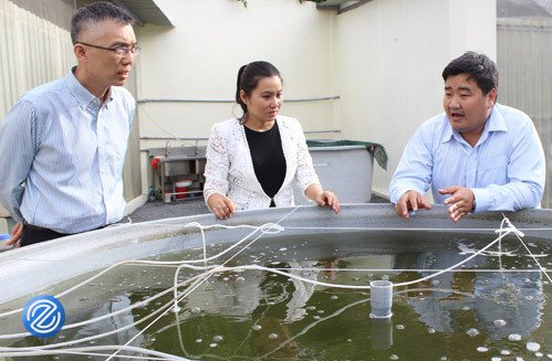 Đại dịch năm nay như một ‘đợt sóng thần’ với các nhà khởi nghiệp trẻ