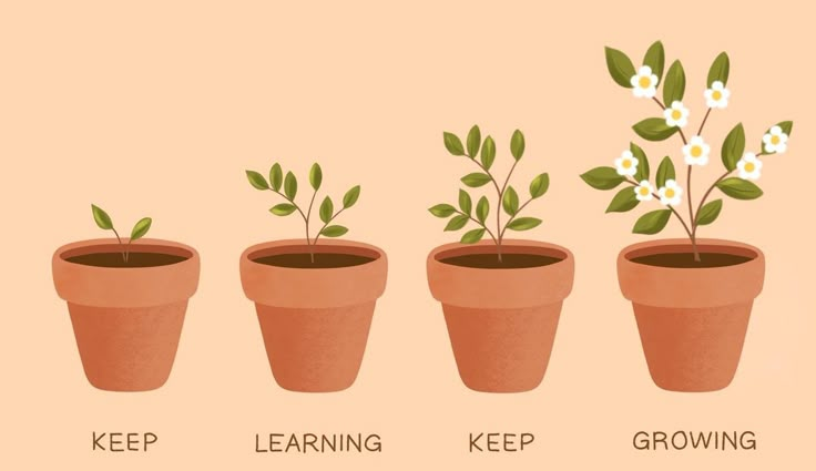 Breaking the Habit: How to Stop Translating and Start Thinking in English