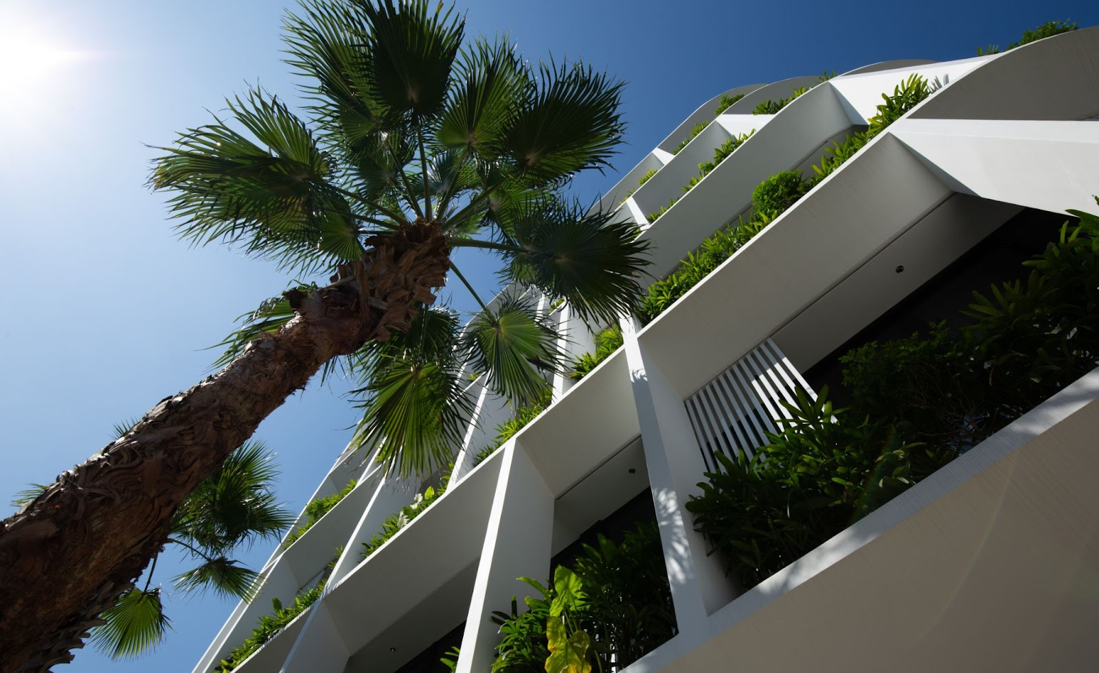 Công trình được mệnh danh là “Ốc đảo trắng” giữa lòng phố biển  - Swiss Nam Residence