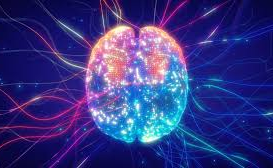 Sao lưu ký ức – cuộc đua dài hơi giữa khoa học, công nghệ và nhân tính