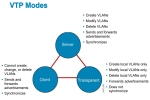 VTP MODES