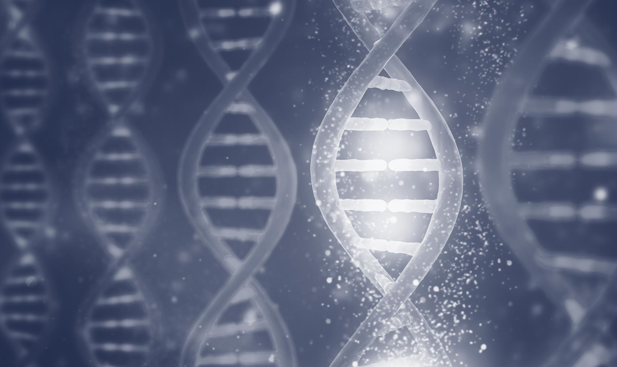 Viện Y tế Quốc gia Hoa Kỳ (NIH) triển khai Sáng kiến Khoa học Dữ liệu Tự kỷ trị giá 50 triệu USD nhằm làm rõ căn nguyên và cải thiện kết quả can thiệp