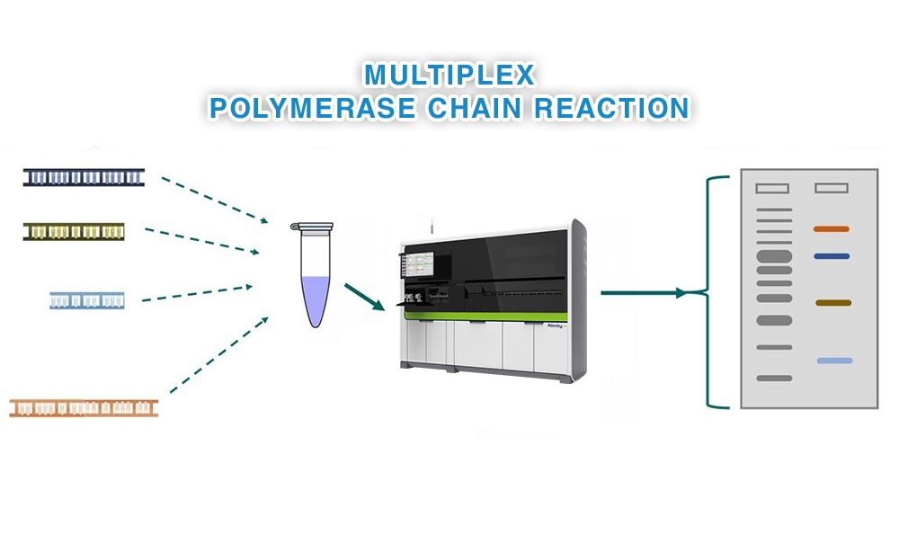 MULTIPLEX PCR TRONG CHẨN ĐOÁN BỆNH ĐƯỜNG HÔ HẤP Ở TRẺ EM