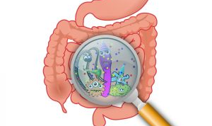 HỆ VI SINH VẬT ĐƯỜNG RUỘT (GUT MICROBIOTA)