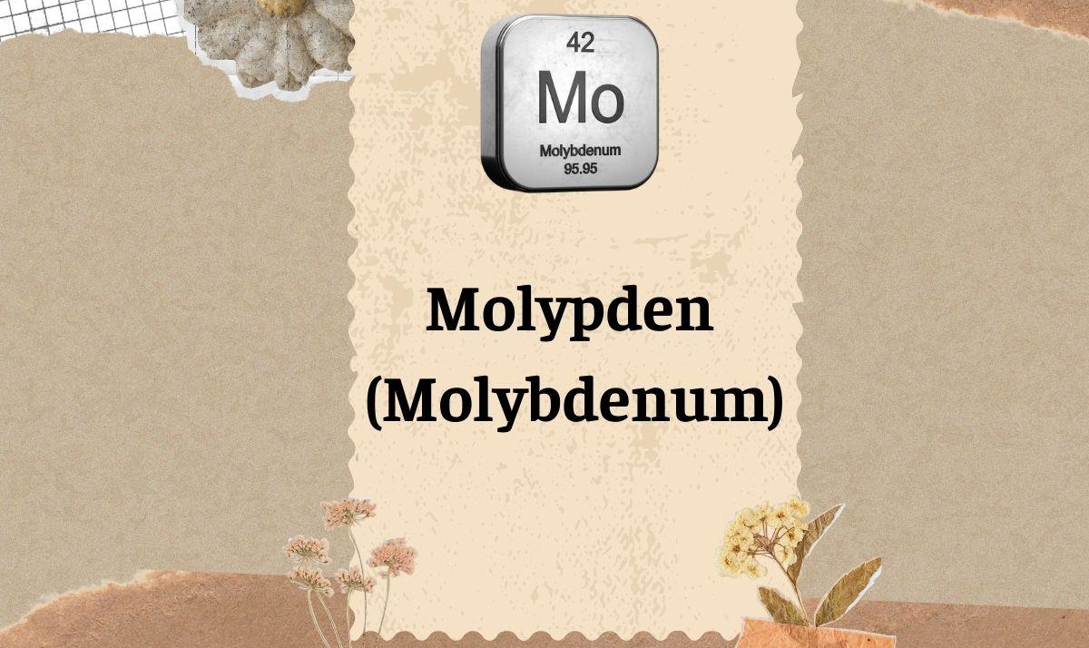 MOLYPDEN