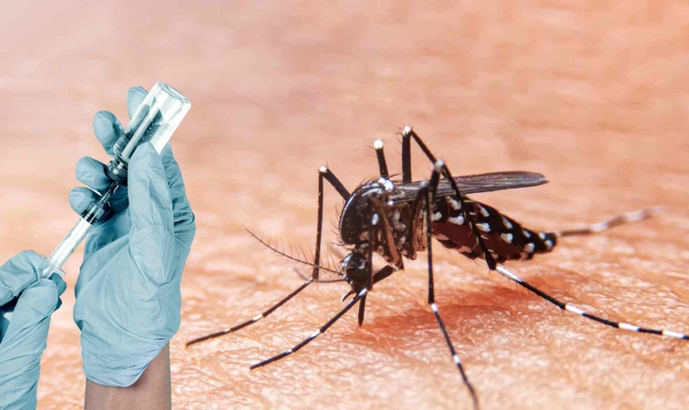 Vaccine sốt xuất huyết Dengue: Cơ hội mới trong kiểm soát dịch bệnh tại Việt Nam