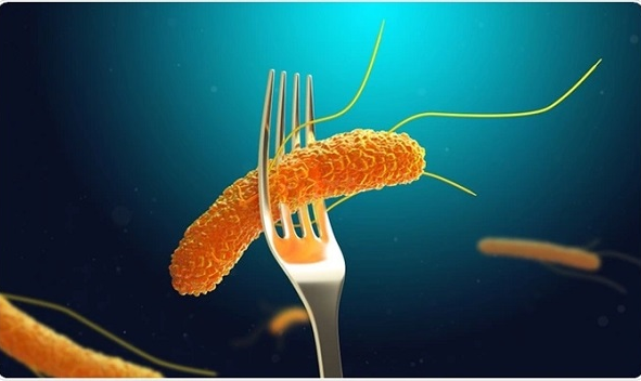NGỘ ĐỘC THỰC PHẨM DO VI KHUẨN SALMONELLA