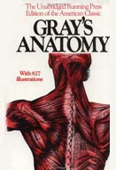 Anatomy descriptive and surgical