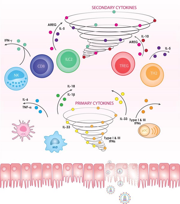 [Healthline] Bão Cytokine và COVID-19: Chúng có quan hệ như thế nào?