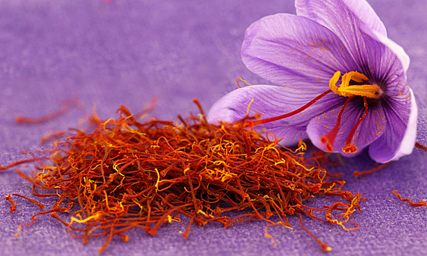 SAFFRON VÀ TIỂU ĐƯỜNG