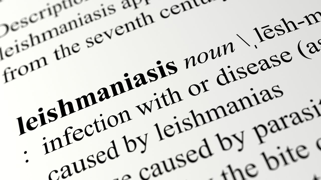 Vắc-xin cần thiết cho bệnh ký sinh trùng Leishmaniasis