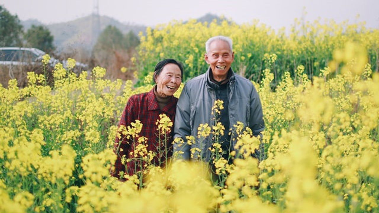 Ngoại ngữ làm chậm lão hóa não