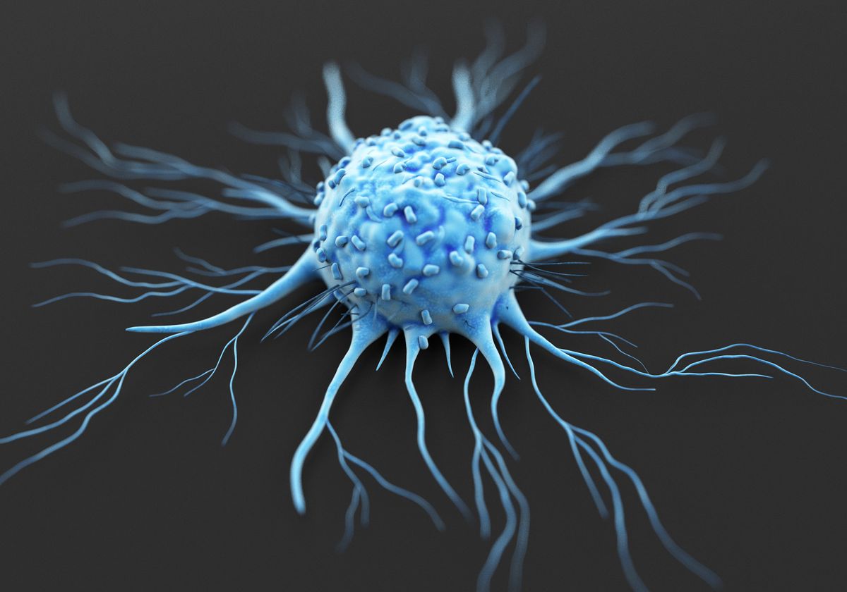Bạch cầu trung tính (Janus-Faced Neutrophils)