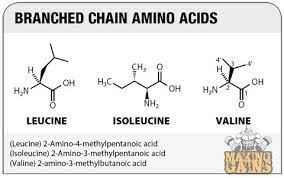 BCAAs VÀ SỰ ĐỀ KHÁNG INSULIN