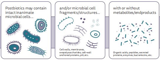 PHÂN BIỆT PROBIOTICS, PREBIOTICS, SYNBIOTICS VÀ POSTBIOTICS