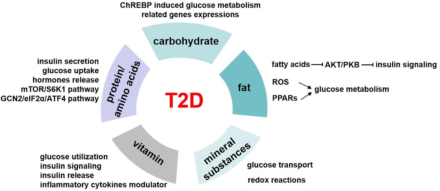 VI CHẤT DINH DƯỠNG VÀ TIỂU ĐƯỜNG TYPE 2 (T2D)