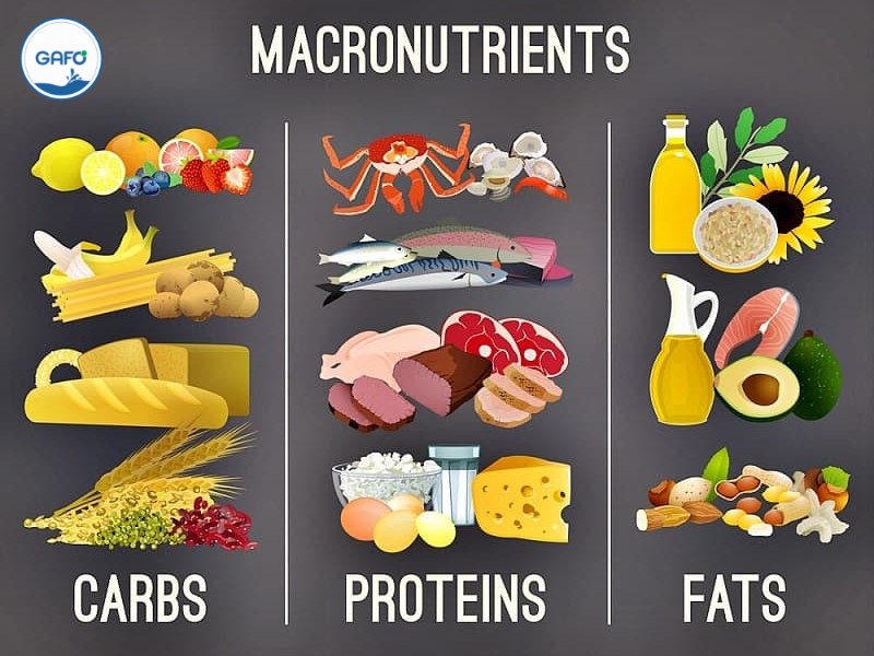 Các chất dinh dưỡng đa lượng và cân nặng