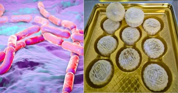 Thương hiệu bánh Trung Thu nổi tiếng bị thu hồi do chứa vi khuẩn gây ngộ độc Bacillus cereus