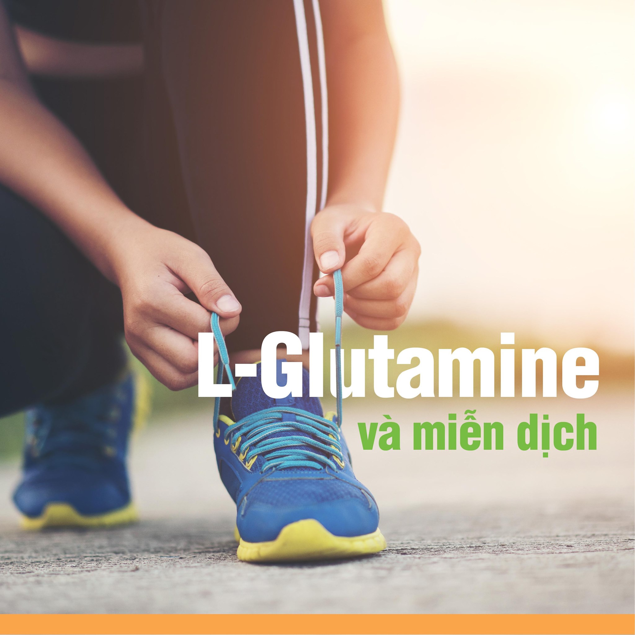 GLUTAMINE VÀ VAI TRÒ VỚI HỆ MIỄN DỊCH