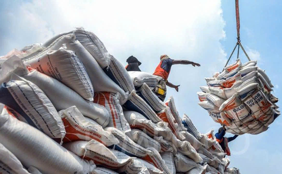 Địa phương sẽ trực tiếp cấp chứng nhận gạo thơm xuất khẩu từ 1/7/2026