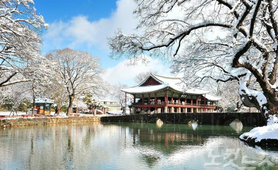 Mùa Đông ở Hàn Quốc: Một Chuyến Phiêu Lưu Tuyệt Vời (겨울철 한국: 특별한 겨울 여행) 