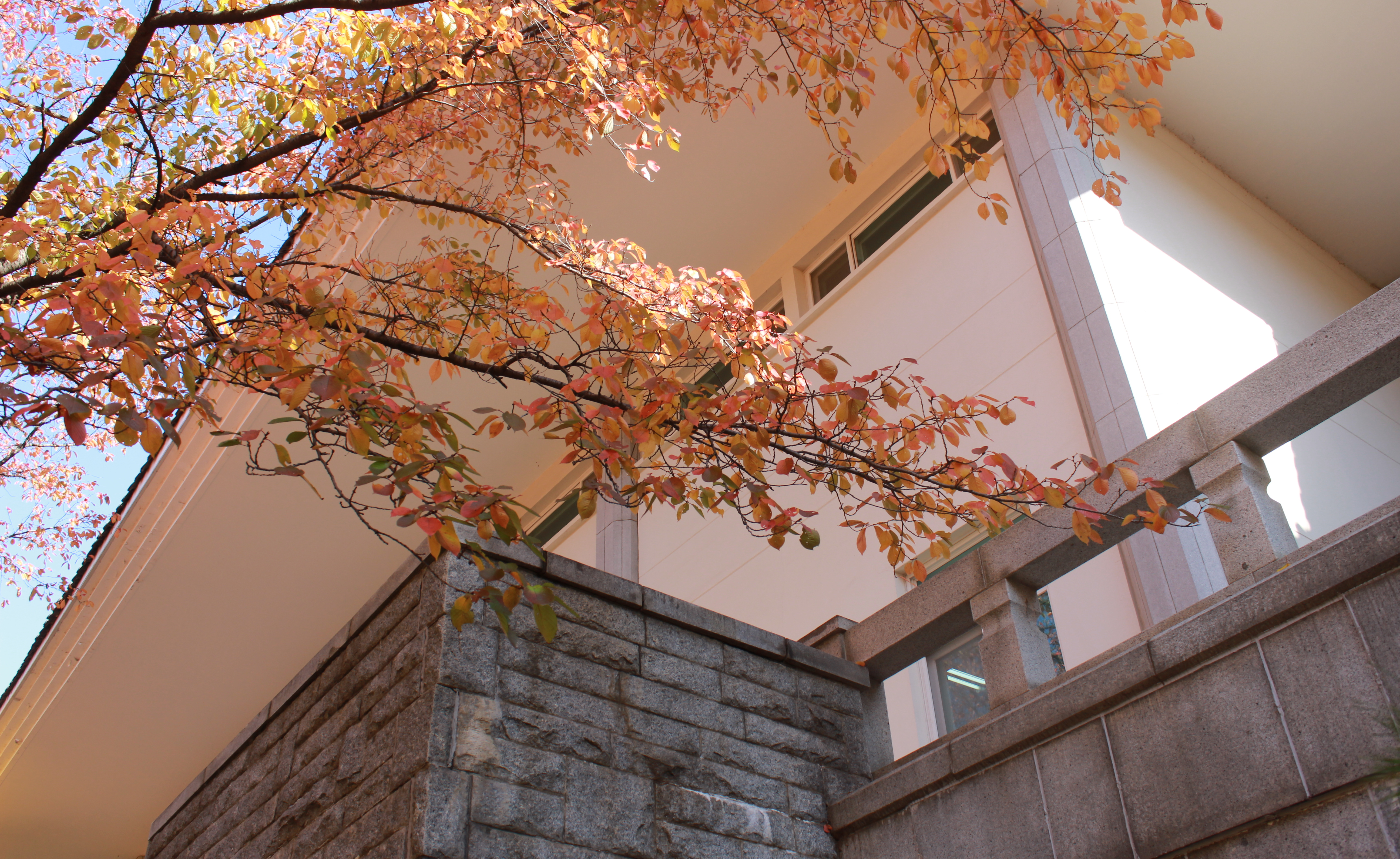 Mùa thu Hàn Quốc – 한국의 가을