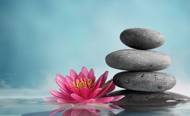 NHỮNG CÂU NÓI TIẾNG NHẬT HAY VỀ CUỘC SỐNG: KHÁM PHÁ BÍ QUYẾT SỐNG AN NHIÊN VÀ KIÊN CƯỜNG TỪ XỨ PHÙ TANG