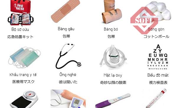 Tầm Quan Trọng Của Từ Vựng Về Lĩnh Vực Y Tế Đối Với Du Học Sinh Tại Nhật Bản