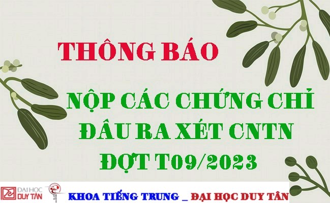 Thông báo nộp các chứng chỉ đầu ra xét CNTN đợt T9/2023