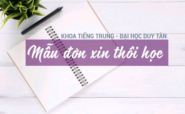 Mẫu đơn xin thôi học