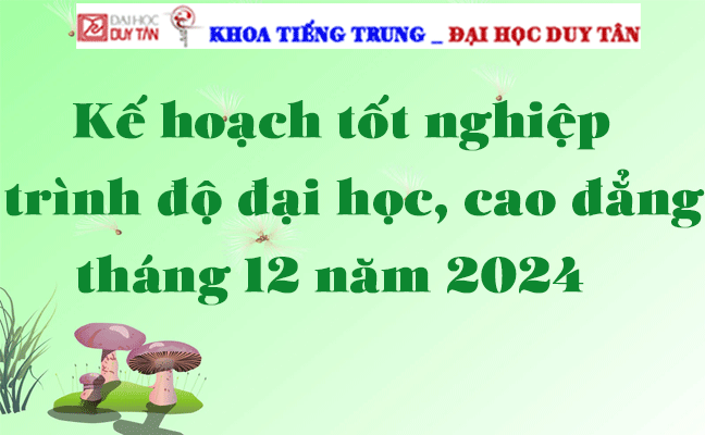 Kế hoạch tốt nghiệp trình độ đại học, cao đẳng tháng 12 năm 2024