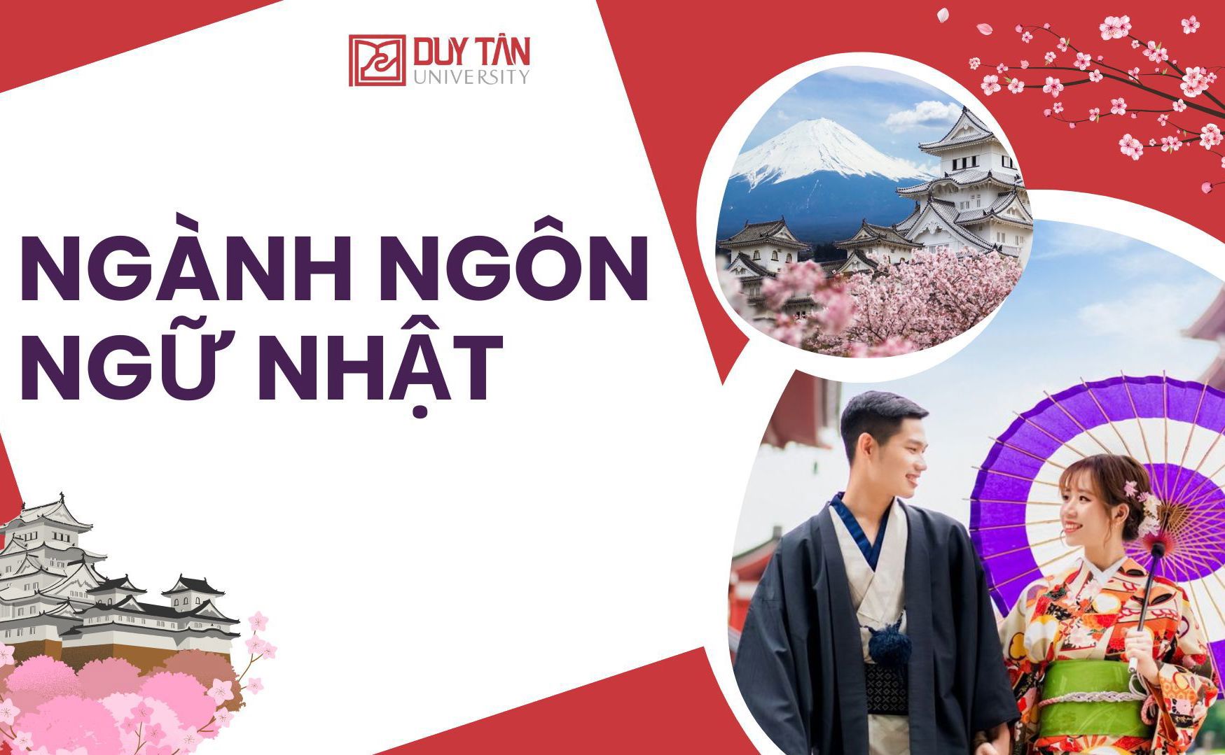 Khám phá thế giới ngôn ngữ và văn hóa Nhật Bản tại Đại học Duy Tân!