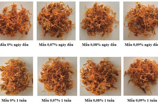 Ảnh hưởng của natri benzoate đến thời gian bảo quản sản phẩm chà bông chay từ nấm bào ngư