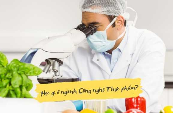 Học ngành Công nghệ Thực phẩm ở trường nào? Cơ hội việc làm ra sao?