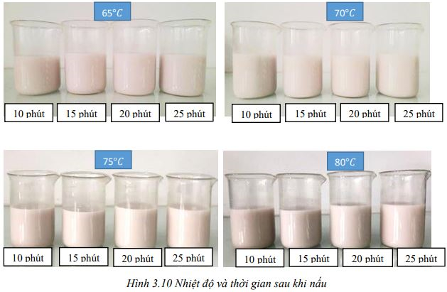 Nghiên cứu các yếu tố ảnh hưởng đến quy trình sản xuất sữa củ năng hạt điều