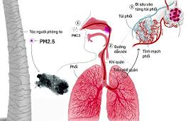 BỤI TRONG KHÔNG KHÍ VÀ CÁC CHẤT ĐỘC HẠI