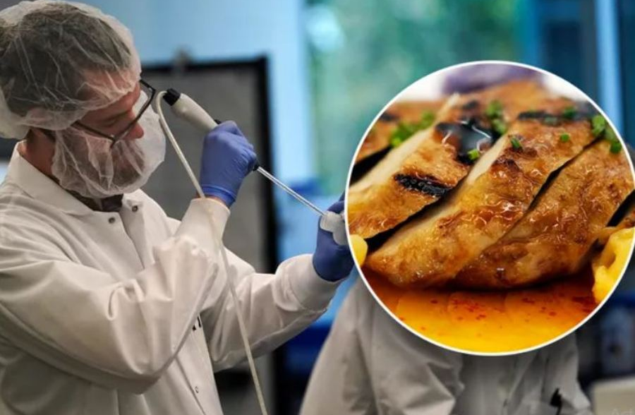 Từ Tế Bào Đến Đĩa Ăn – Quy Trình Sản Xuất Thịt Nuôi Cấy Tóm tắt