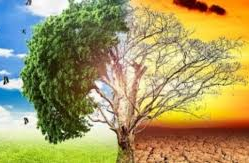 Biến đổi khí hậu – Thách thức toàn cầu và trách nhiệm của cộng đồng học thuật