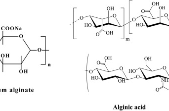 Các tính chất của Alginate và ứng dụng trong thực phẩm
